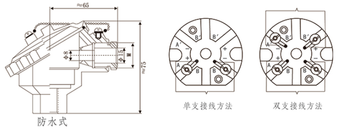 T10系列防爆型铂电阻温度传感器接线盒外形 上海億彩