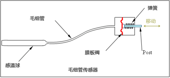灯泡和毛细管温度传感器 億彩电子