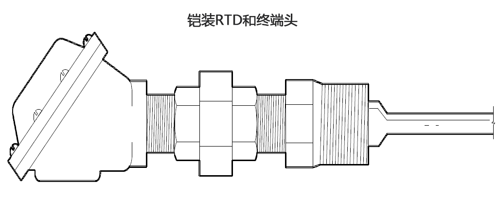铠装RTD和终端头 億彩温度传感器